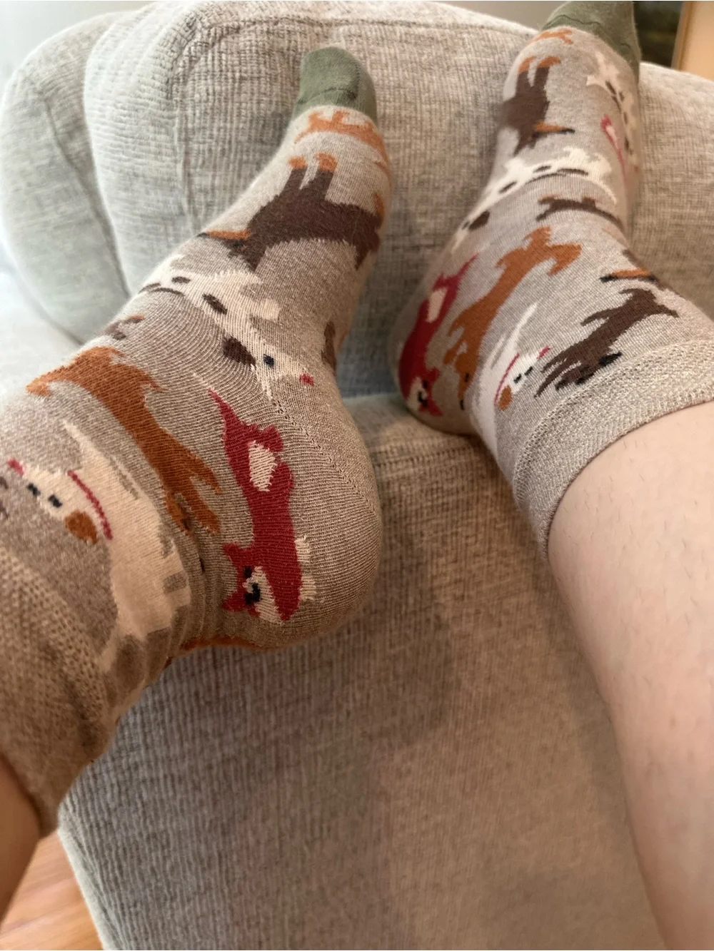 Women’s Novelty Dog Pattern Socks – Olive Toe, Taupe Base